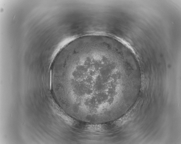 X0000087061223200704251021