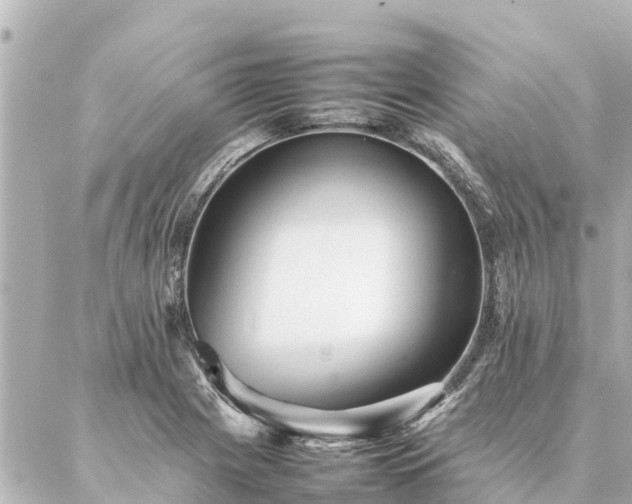 X0000087061225200704251021