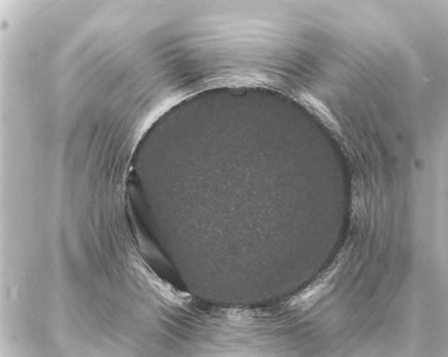 X0000087061226200704251021