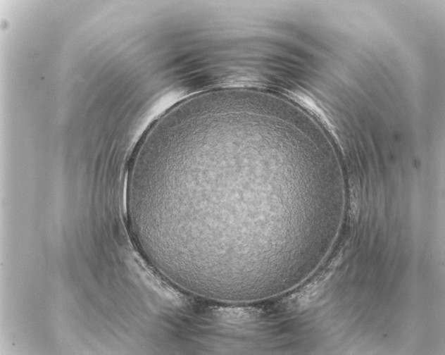 X0000087061227200704251021