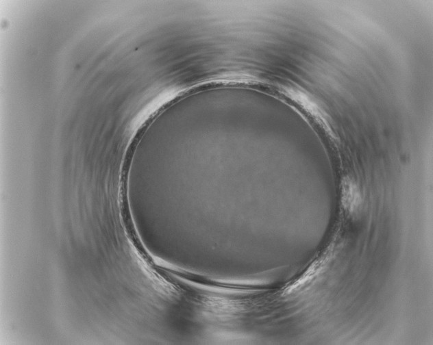 X0000087061229200704251021