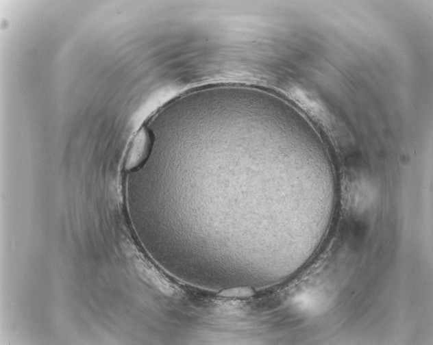 X0000087061230200704251021