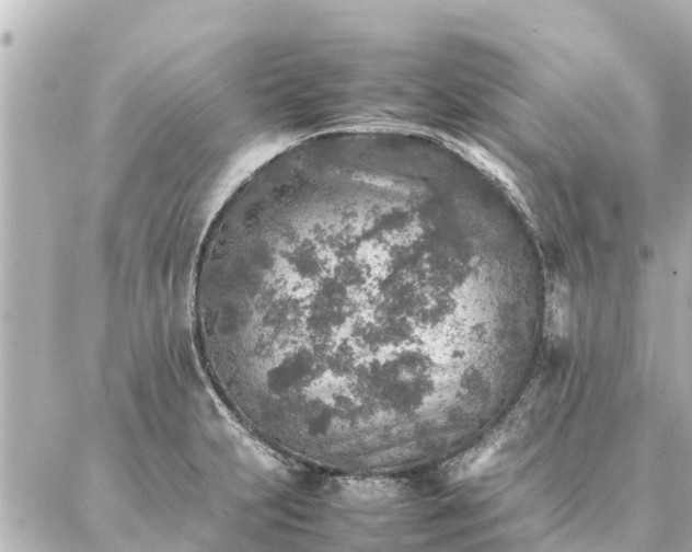 X0000087061231200704251021