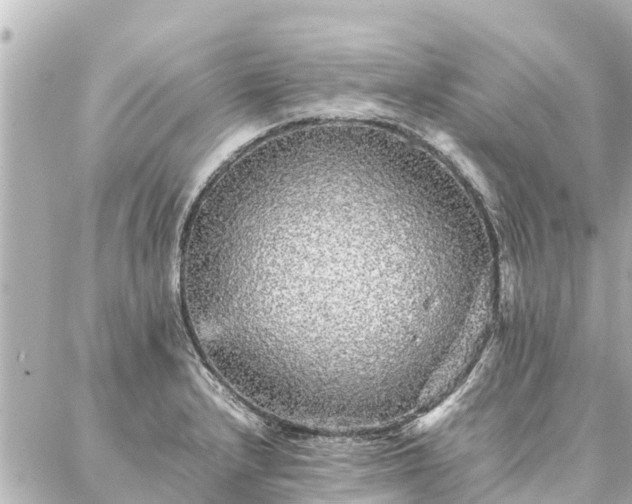 X0000087061232200704251021