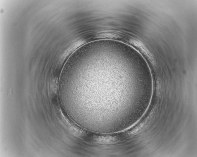 X0000087061233200704251021