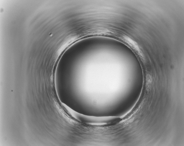 X0000087061234200704251021