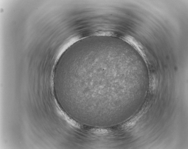 X0000087061235200704251021