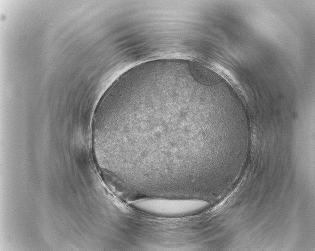 X0000087061236200704251021