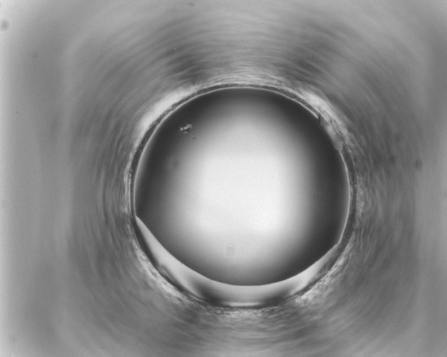 X0000087061238200704251021