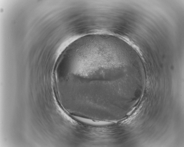 X0000087061239200704251021