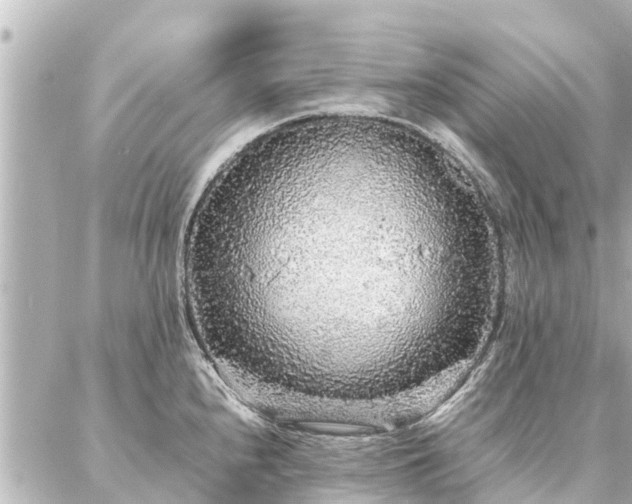 X0000087061240200704251021