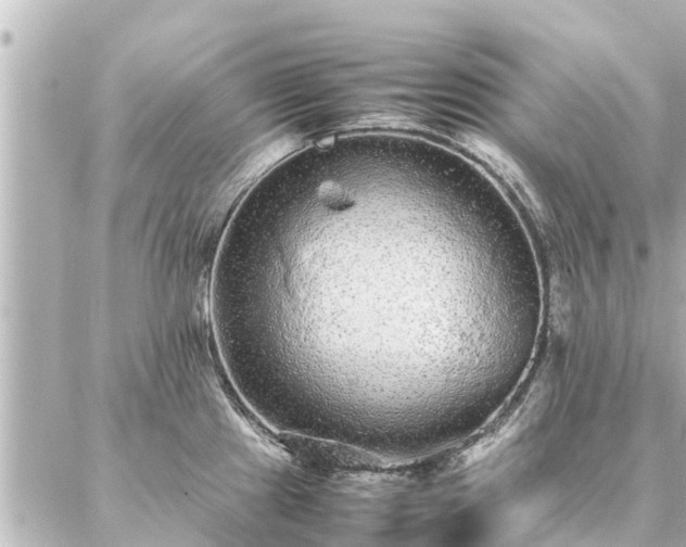 X0000087061241200704251021