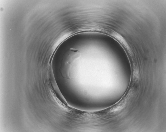 X0000087061242200704251021