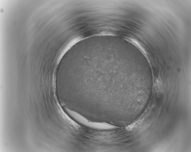 X0000087061243200704251021