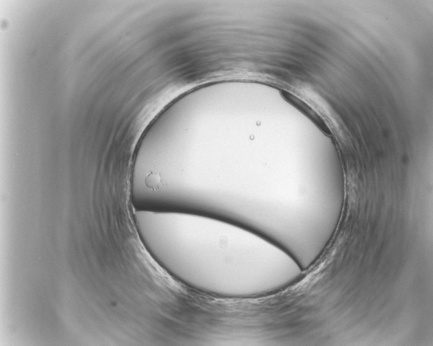 X0000087061244200704251021