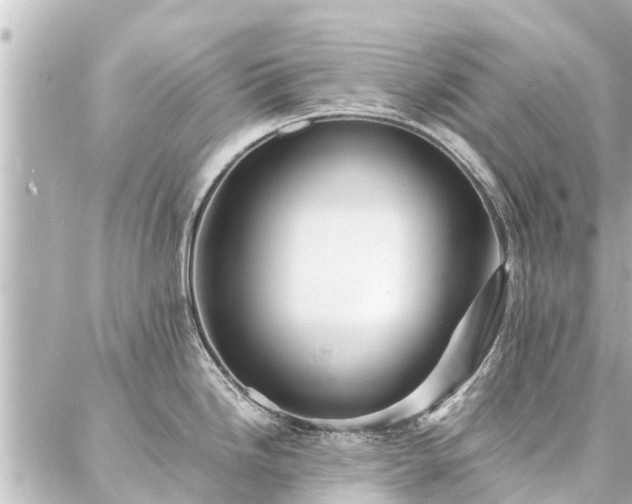 X0000087061246200704251021