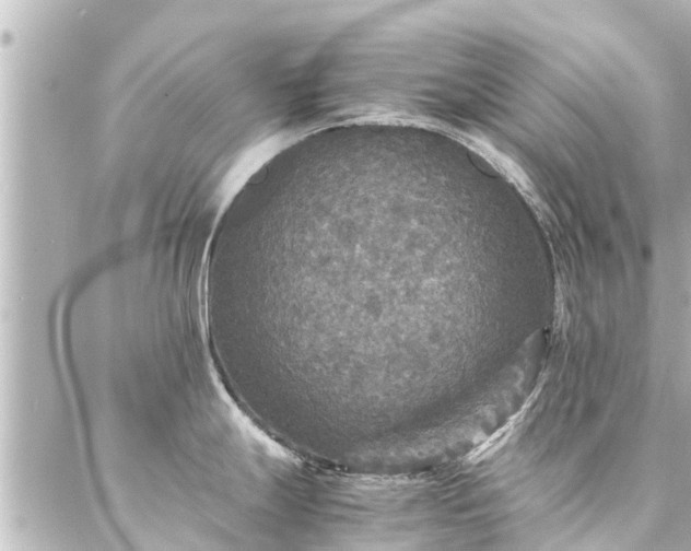 X0000087061247200704251021