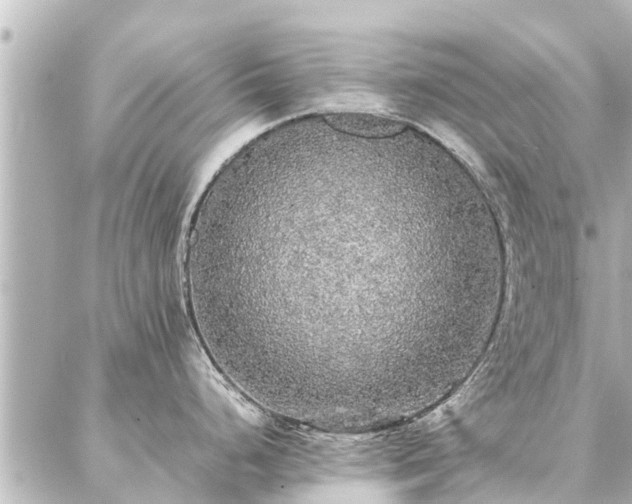 X0000087061248200704251021