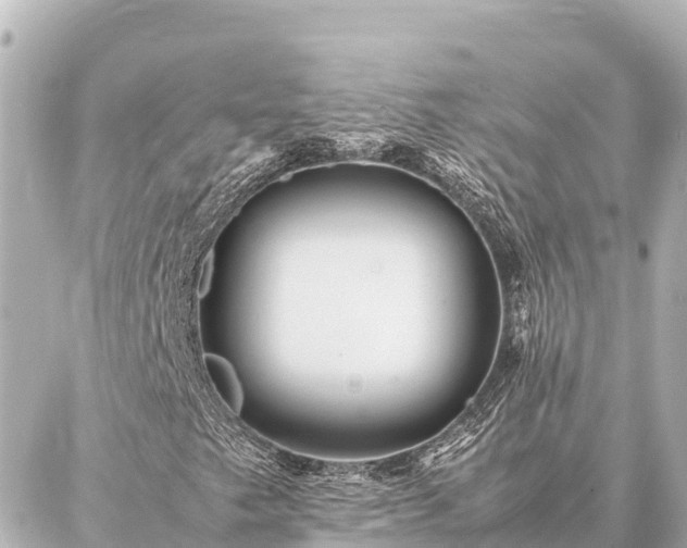 X0000087061249200704251020