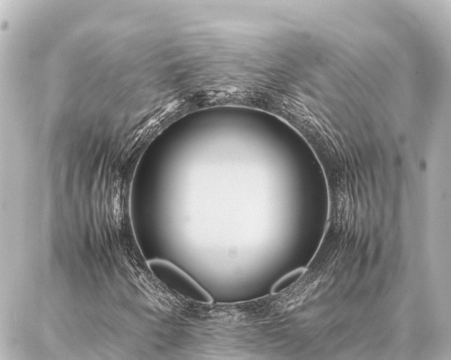 X0000087061250200704251020