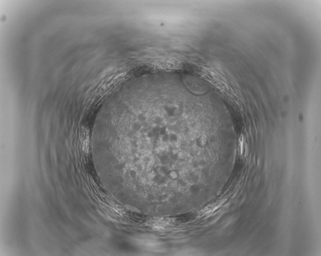 X0000087061251200704251020