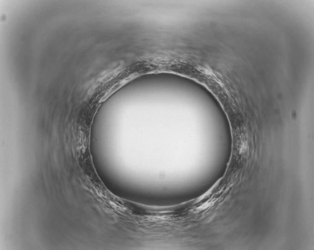 X0000087061253200704251020