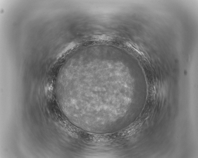 X0000087061254200704251020