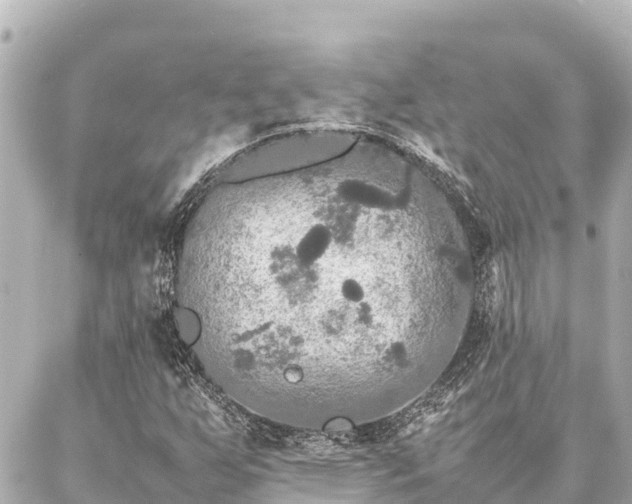 X0000087061255200704251020