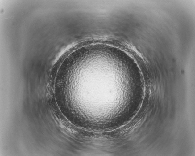 X0000087061256200704251020