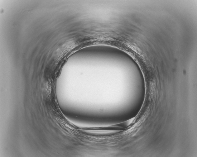 X0000087061257200704251020