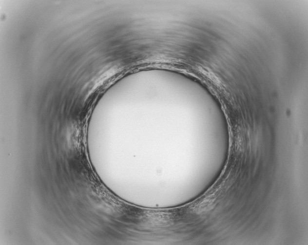 X0000087061258200704251020