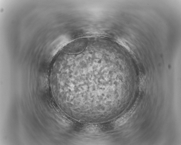 X0000087061259200704251020