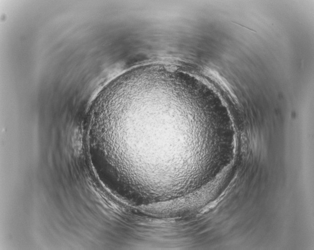 X0000087061260200704251020