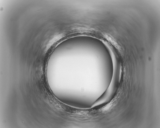 X0000087061261200704251020