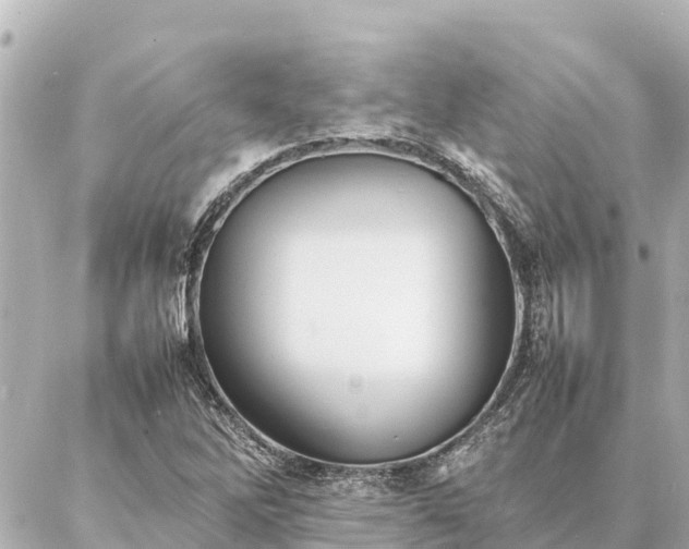 X0000087061262200704251020