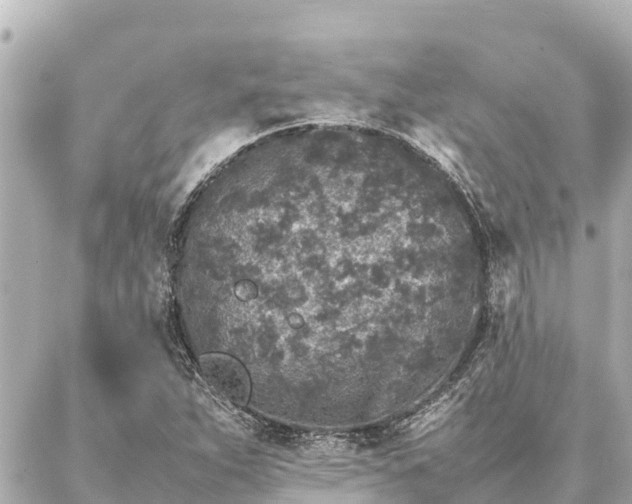 X0000087061263200704251020