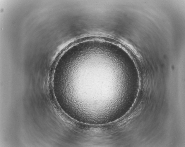 X0000087061264200704251020