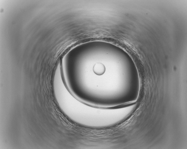 X0000087061265200704251020