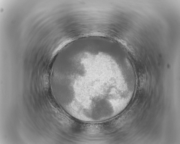 X0000087061266200704251020