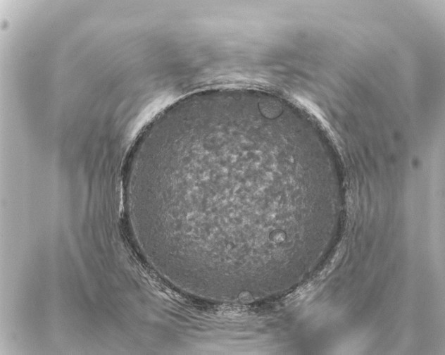 X0000087061267200704251020