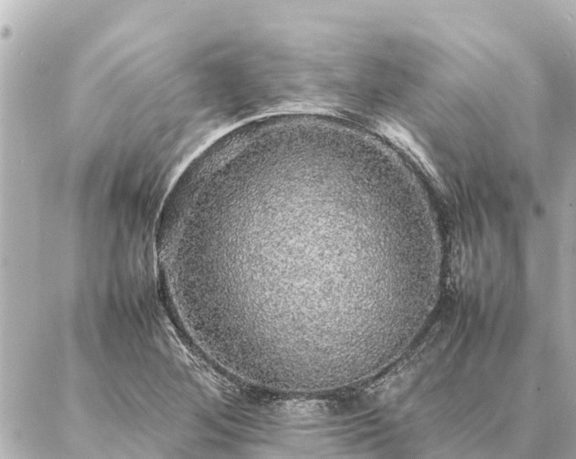 X0000087061268200704251020