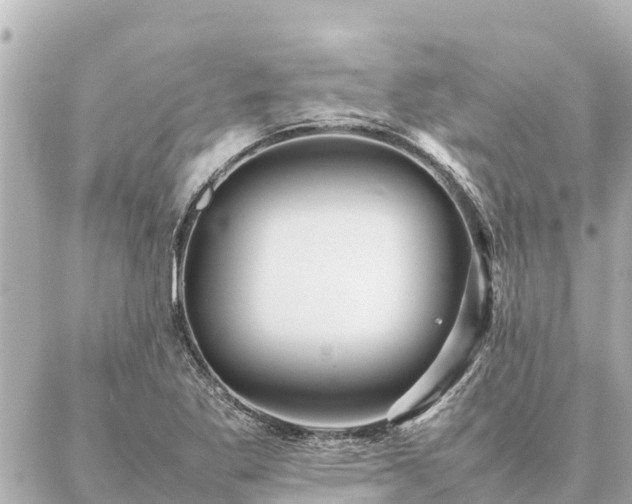 X0000087061269200704251020