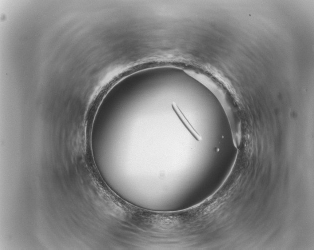 X0000087061270200704251020