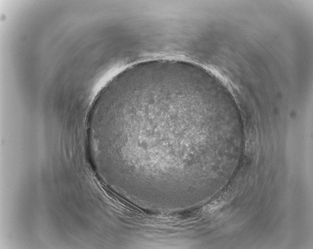 X0000087061271200704251020