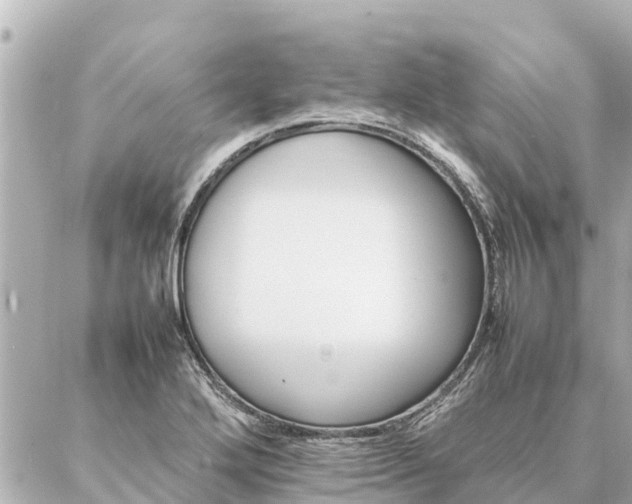 X0000087061272200704251020