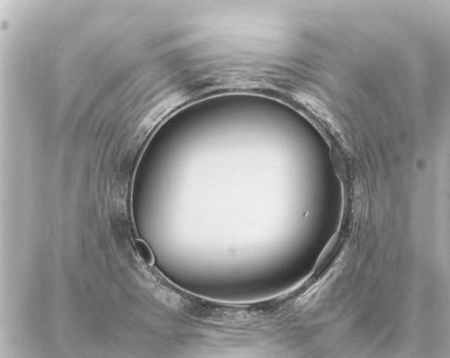 X0000087061273200704251020