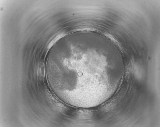 X0000087061274200704251020