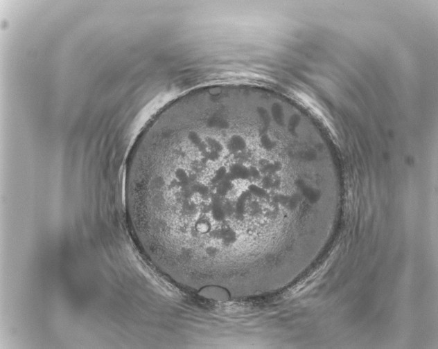 X0000087061275200704251020