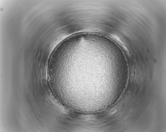 X0000087061276200704251020