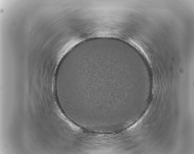 X0000087061277200704251020